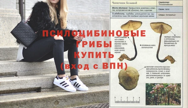 таблы Баксан