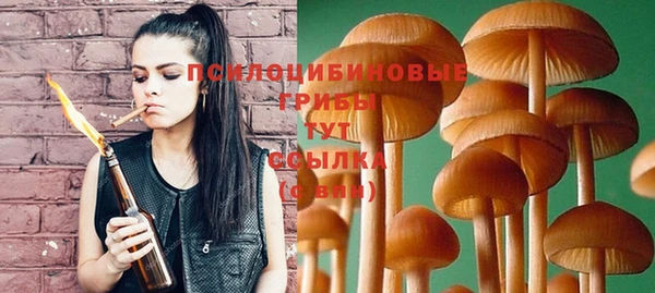 дживик Балахна