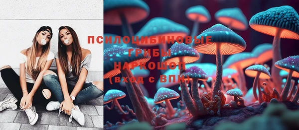 дживик Балахна