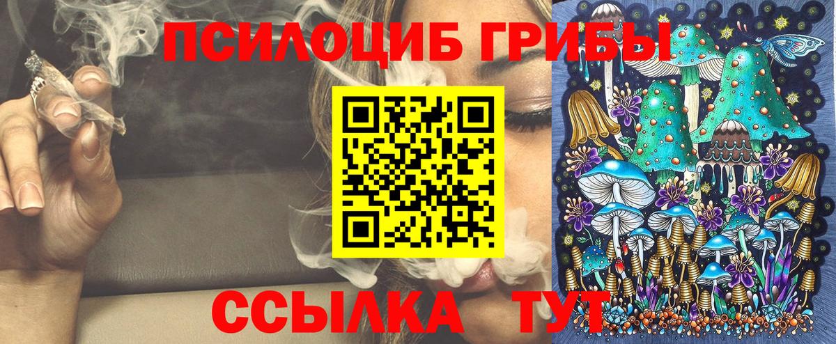 Галлюциногенные грибы GOLDEN TEACHER Бугульма