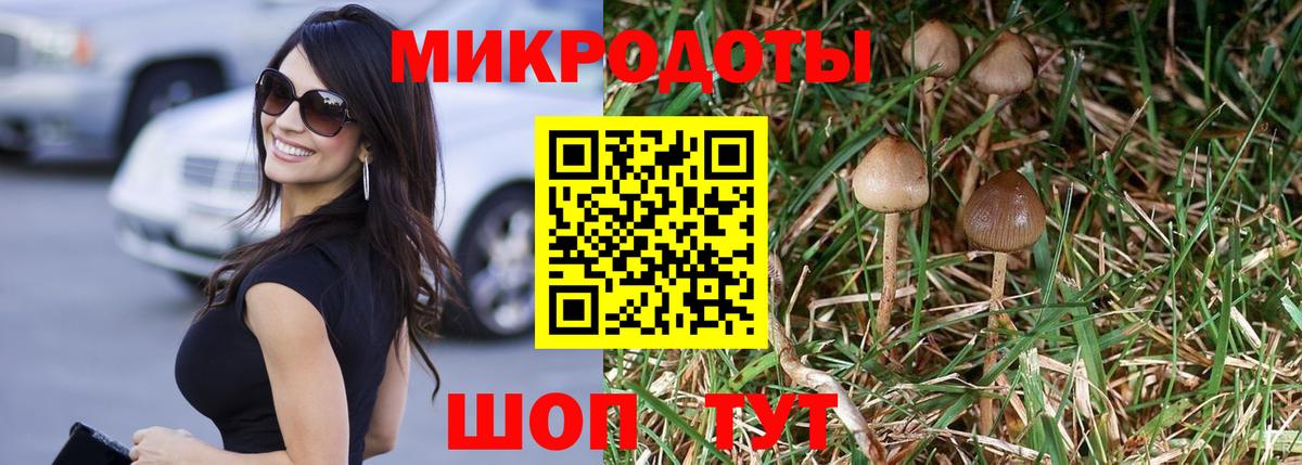 Бугульма  Галлюциногенные грибы GOLDEN TEACHER  Вход с VPN 